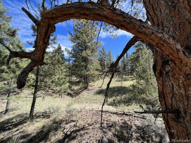 82 Kiowa Cir, Home with 0 bedrooms, 0 bathrooms and null parking in Westcliffe CO | Image 14