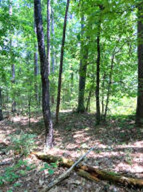 LOT 289 Lakeview Dr, Fairfield Bay, AR, 72088-2708 | Card Image