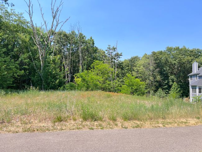 Home Site 137, beautiful walkout site with mature trees and loads of privacy! | Image 5