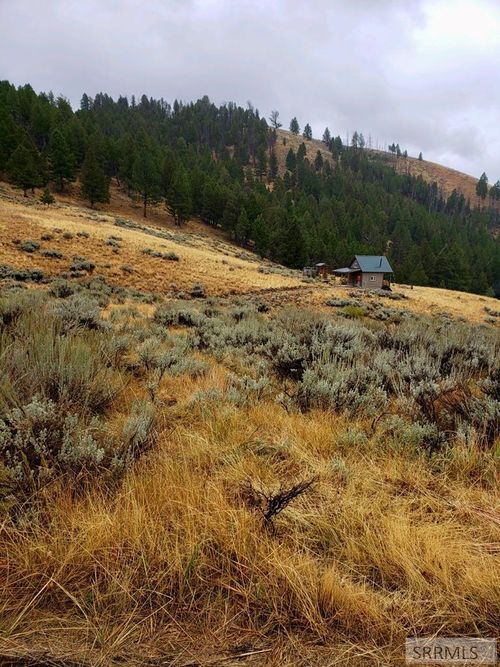 53 Panther Creek Estates Rd, Shoup, ID, 83469 | Card Image