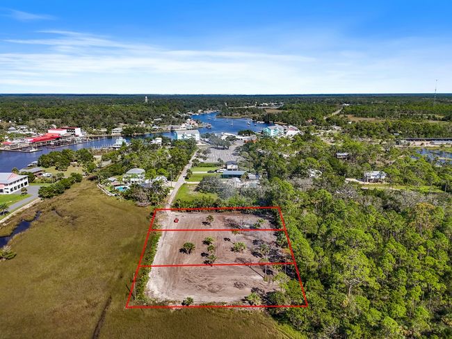 159 Sw 273rd Ave, Home with 0 bedrooms, 0 bathrooms and null parking in Steinhatchee FL | Image 4