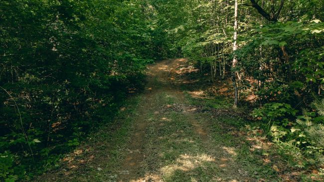 Tolley pic 21 | Image 9