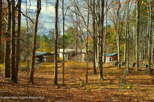 100 Meadow Ln, Cairo, NY, 12413-2210 | Card Image