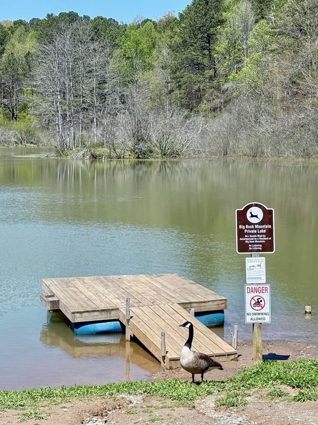 Lot 751 Morton Dr, Home with 0 bedrooms, 0 bathrooms and null parking in Ellijay GA | Image 9