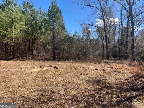 0 Rock Springs Rd, Glenwood, GA, 30428 | Card Image