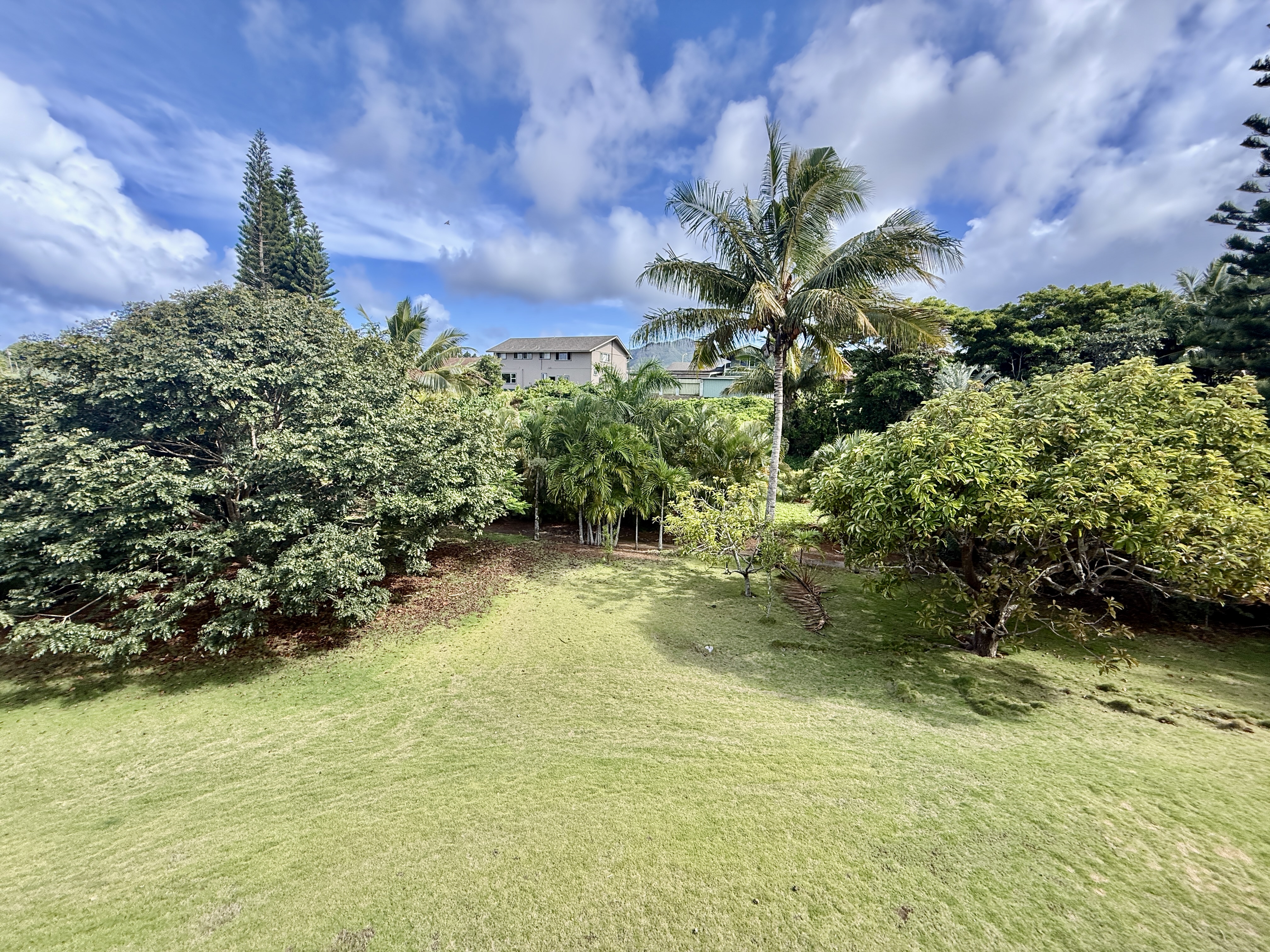 Residential in Lihue 4