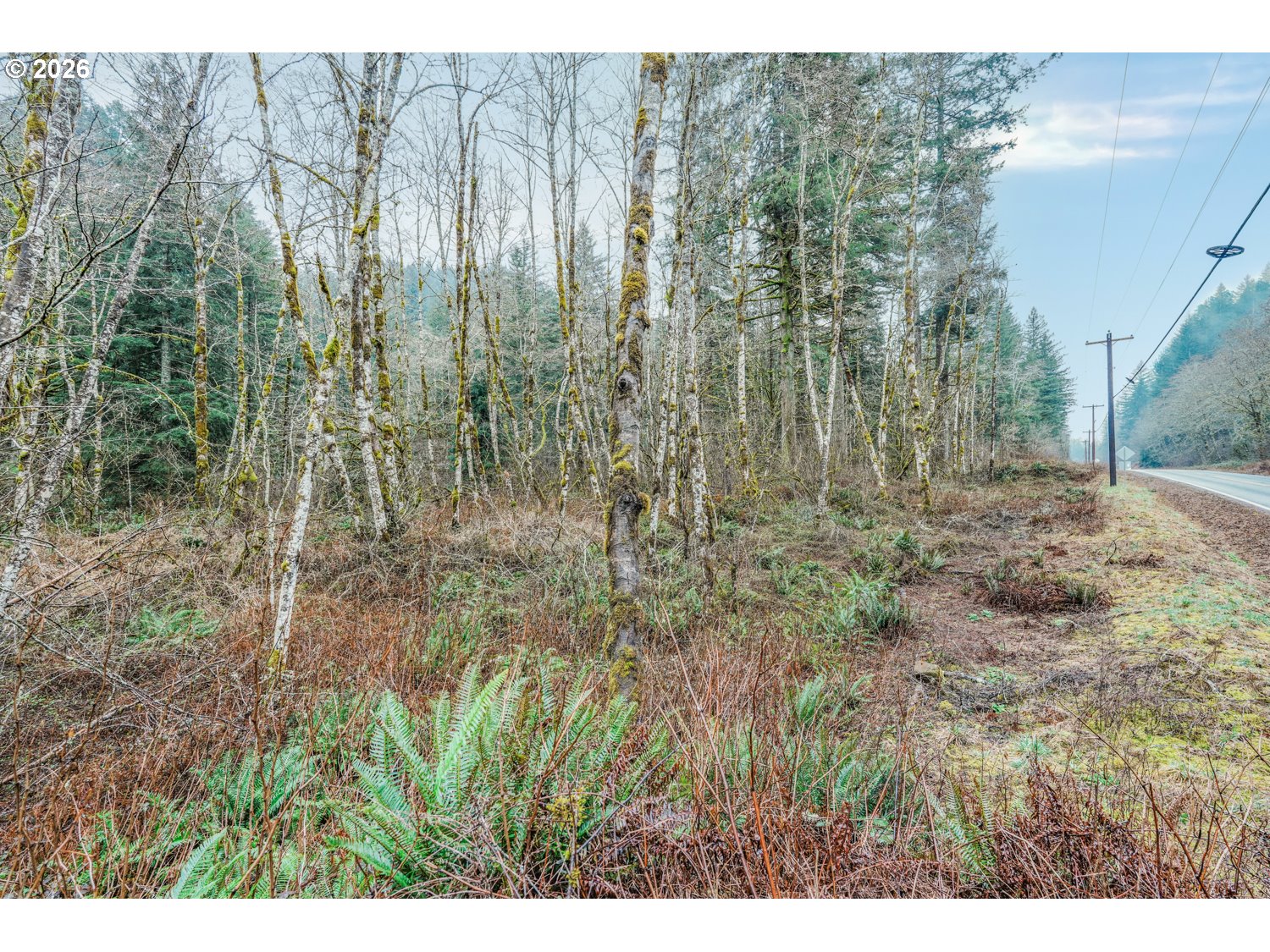 Land in Washougal 3