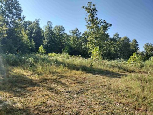 902 Monahan Rd, Mountain View, AR, 72560-7403 | Card Image