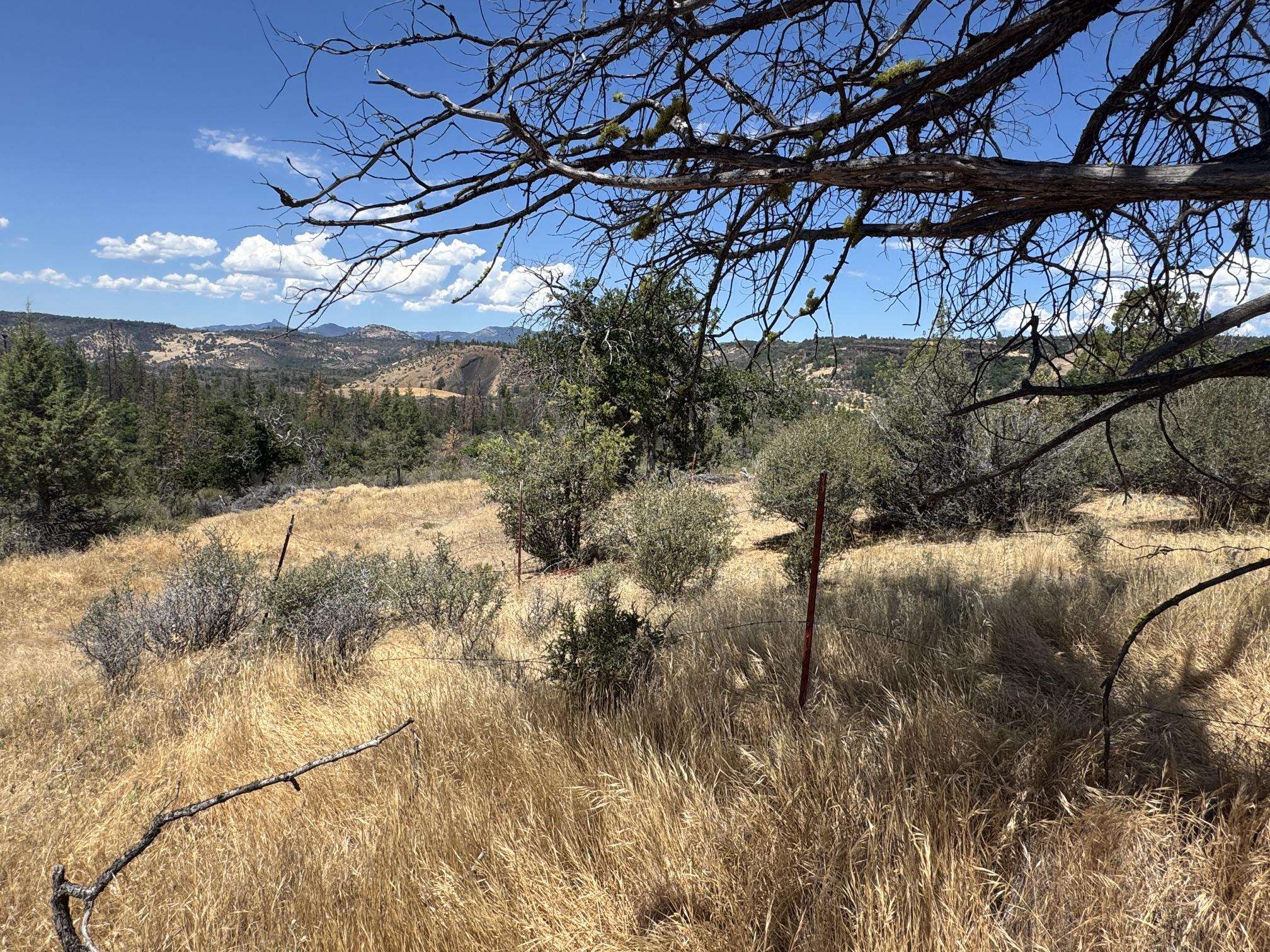 Land in Montague 5