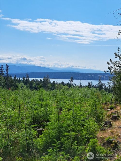 9999 Protection Ridge Dr, Port Townsend, WA, 98368 | Card Image