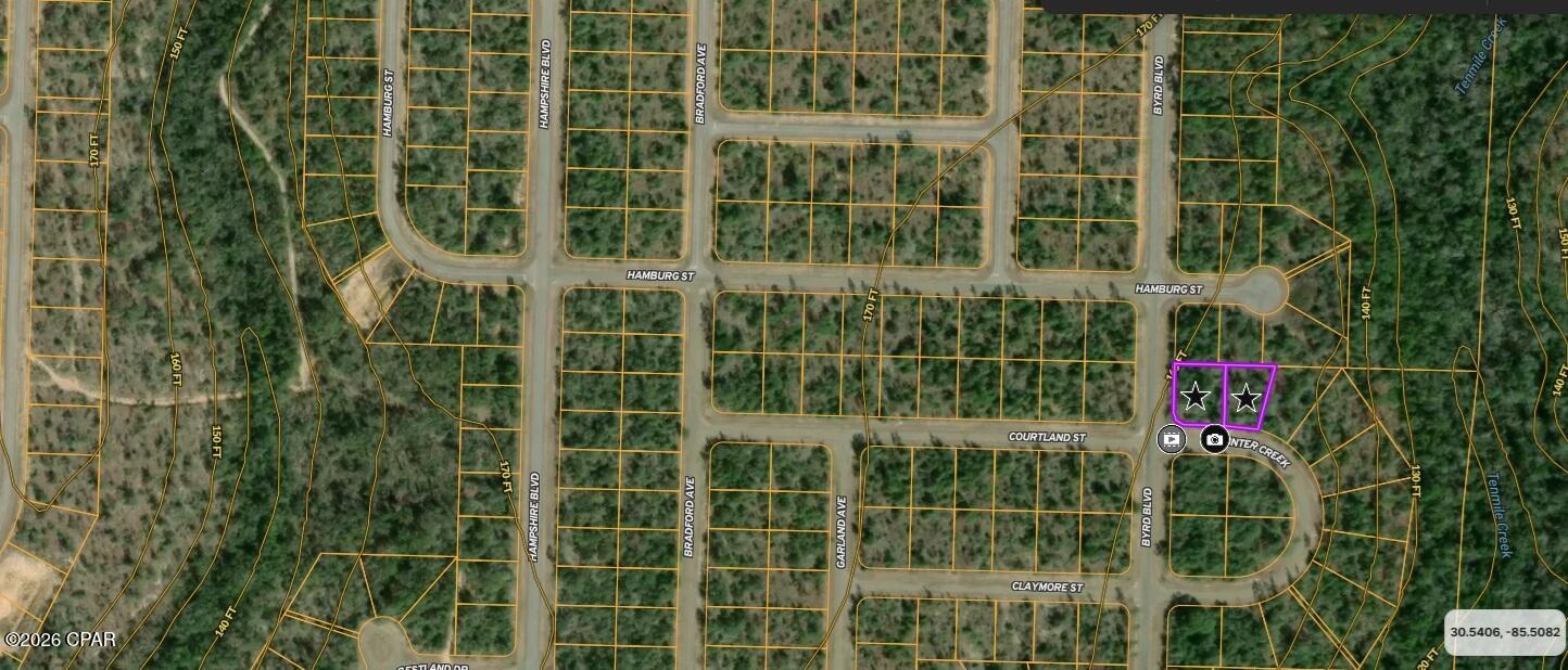 Land in Chipley 3