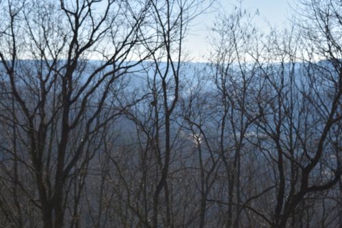 21 Laurel Lake Dr, Monteagle, TN, 37356 | Card Image