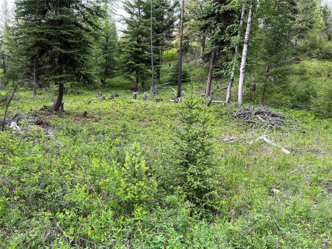 enough room for another cabin in the trees? | Image 129