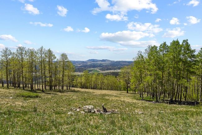2017 County Road 1, House other with 5 bedrooms, 5 bathrooms and 4 parking in Cripple Creek CO | Image 42