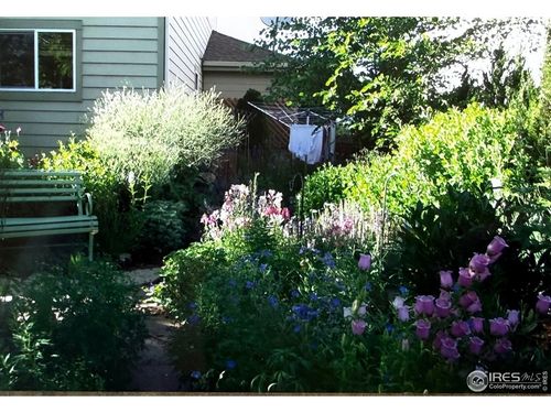 6078 Ulysses Ave, Firestone, CO, 80504-9764 | Card Image