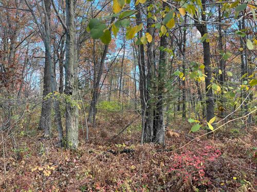 NKA Husak Rd, Omer, MI, 48749 | Card Image