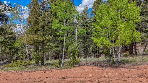 26 N Eldorado Cir, Florissant, CO, 80816 | Card Image