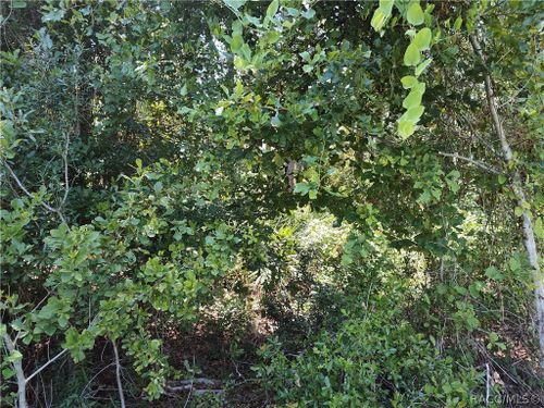 0000 Ne 65th Ct, Citra, FL, 32113 | Card Image