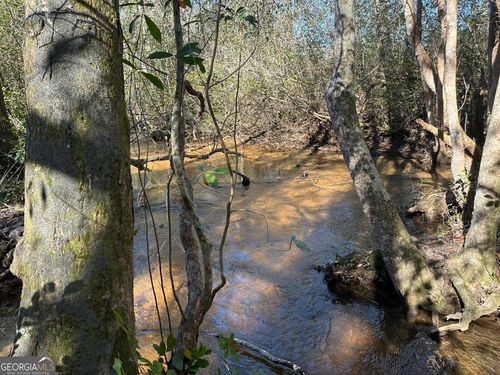 004 Mount Sinai Church Rd, Butler, GA, 31006-6232 | Card Image