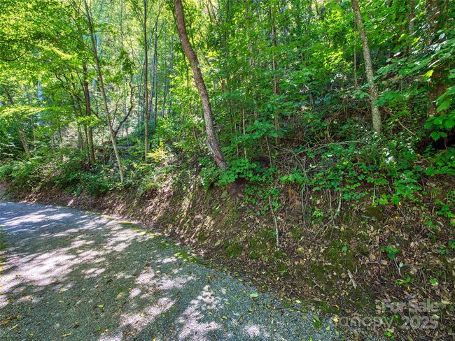 00 Yellow Locust Dr, Home with 0 bedrooms, 0 bathrooms and null parking in Waynesville NC | Image 4