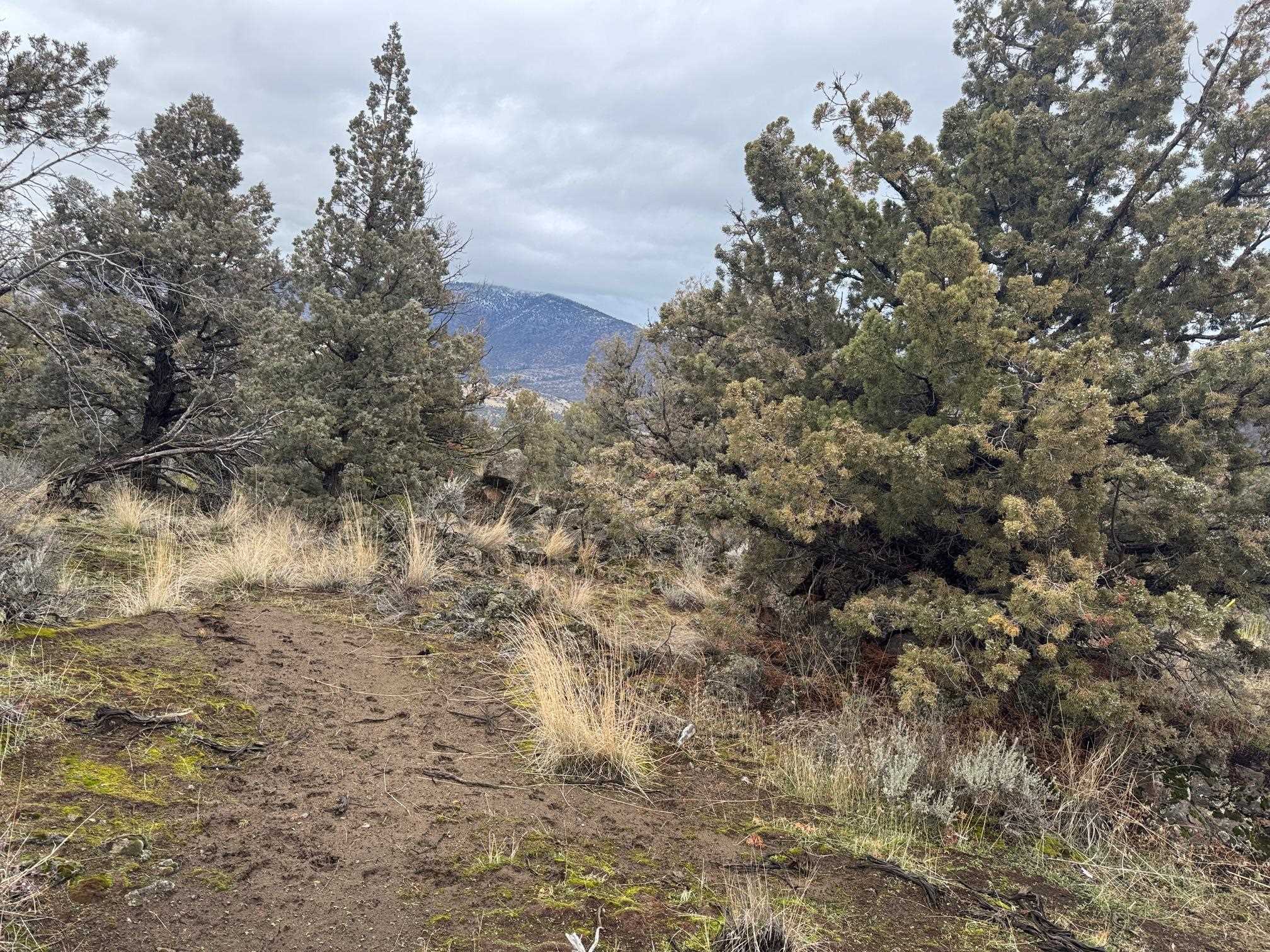 Land in Montague 4