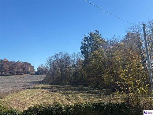 Lot #4 Highway 60, Guston, KY, 40142 | Card Image
