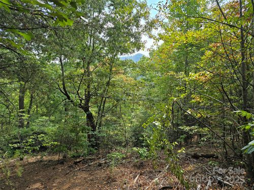 374 Garden Ln, Lake Lure, NC, 28746-8200 | Card Image