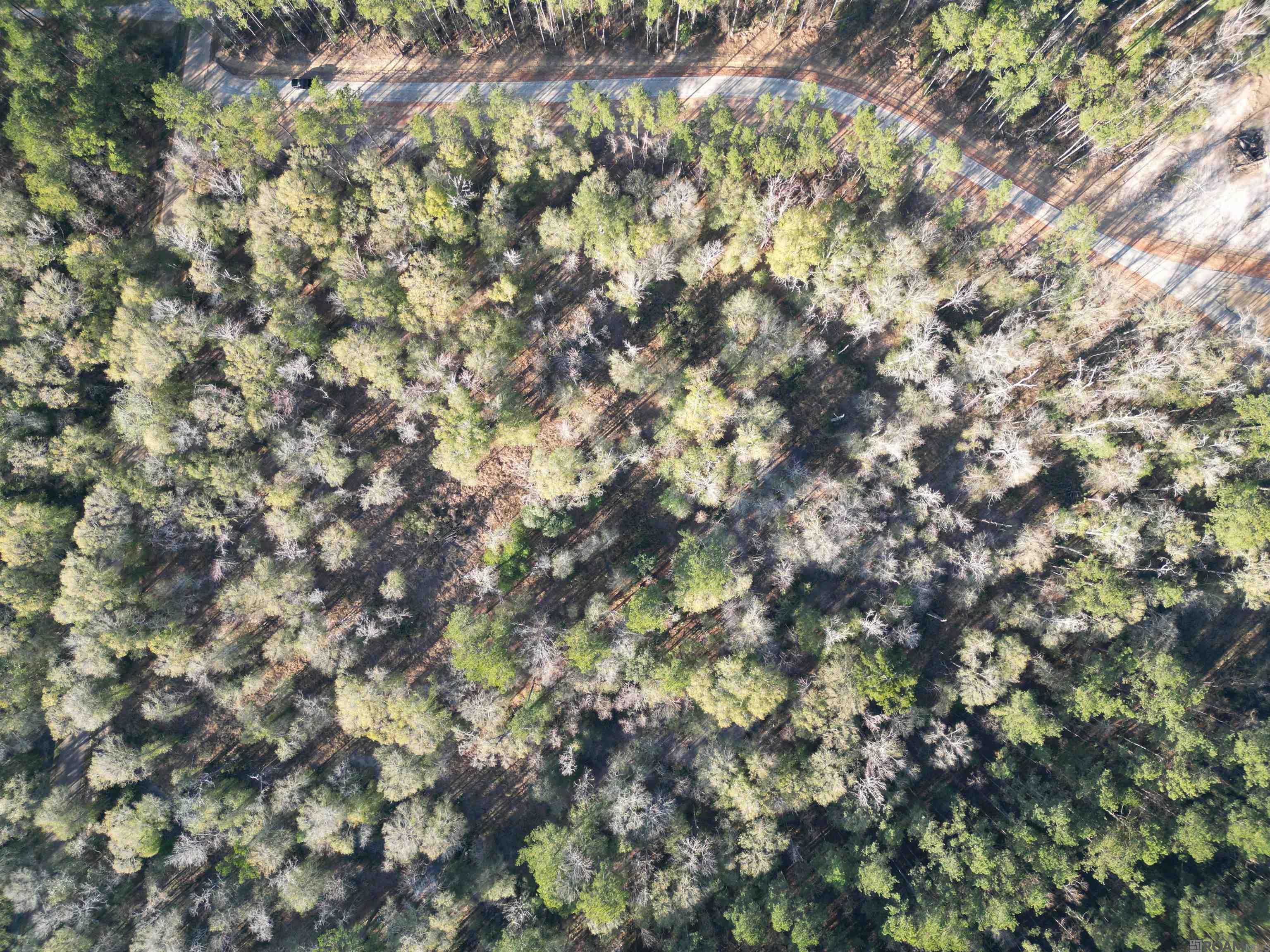 Land in Livingston 3