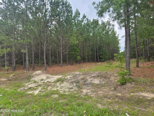 Tract 14 Belford Church Rd, Jackson Springs, NC, 27281 | Card Image