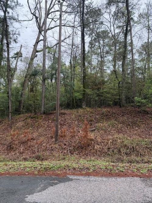 Lot 39, 40 & 41 S Lakeview Drive, Point Blank, TX, 77364 | Card Image
