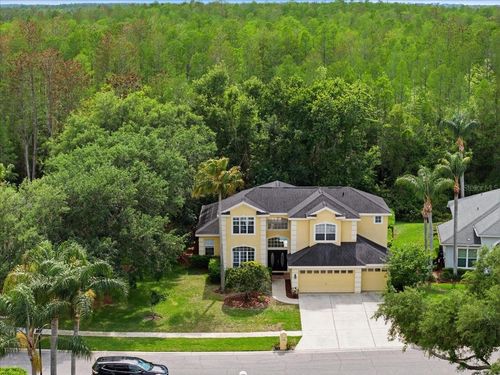 19106 Saint Laurent Dr, LUTZ, FL, 33558-2811 | Card Image