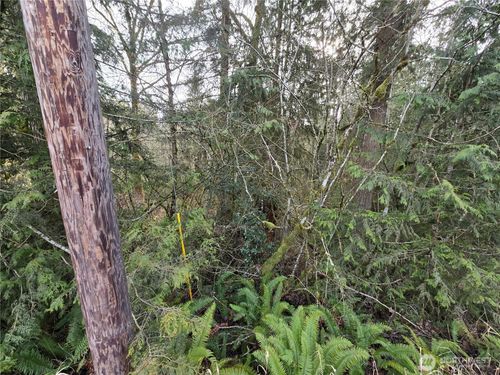 15102 Scott Turner Rd E, Eatonville, WA, 98328-7439 | Card Image