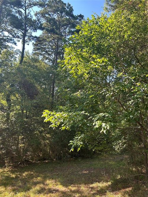 1327 Joanna Hill Dr, Livingston, TX, 77351 | Card Image