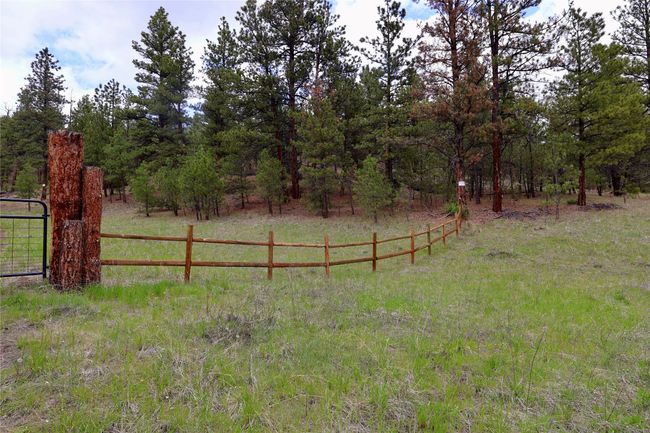 View of yard featuring a view of rural / pastoral area | Image 28