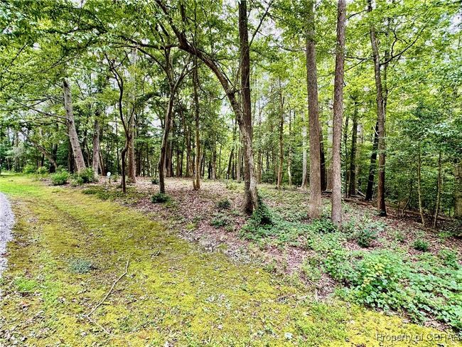 Lot 55 Oyster Cove Lndg, Home with 0 bedrooms, 0 bathrooms and null parking in Hartfield VA | Image 4