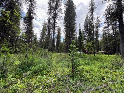 768 Deep Woods Trl, Polebridge, MT, 59928-9507 | Card Image