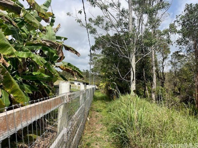 The neighbor back fence line the front property. | Image 20