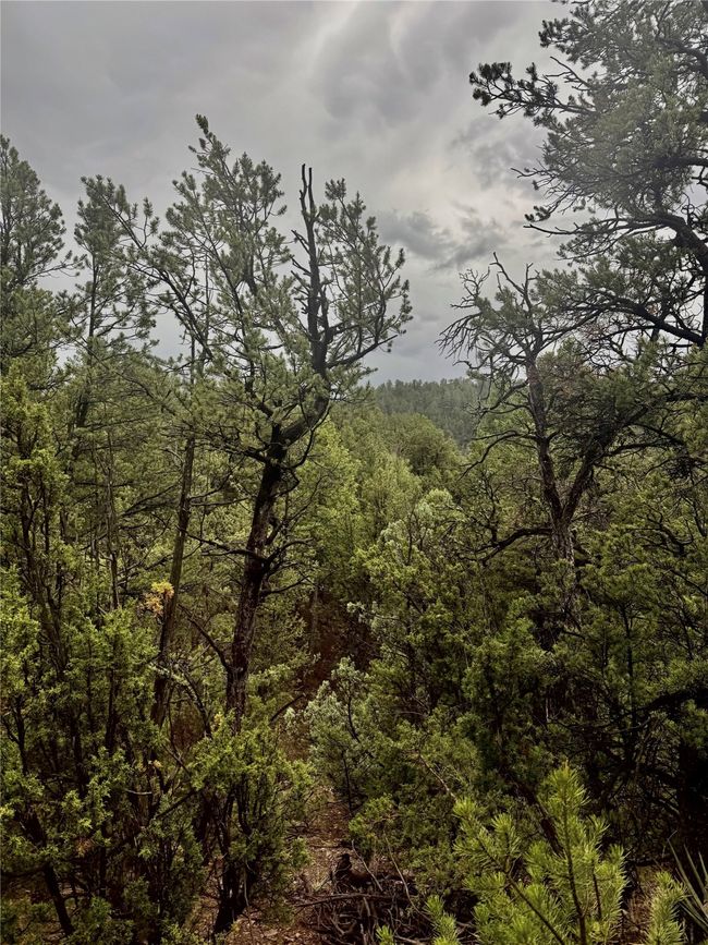 1 N Main St, Home with 0 bedrooms, 0 bathrooms and null parking in Pecos NM | Image 21