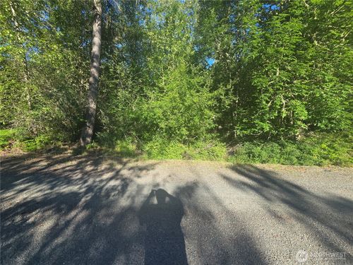13823 Starflower Lane Se, Yelm, WA, 98597 | Card Image