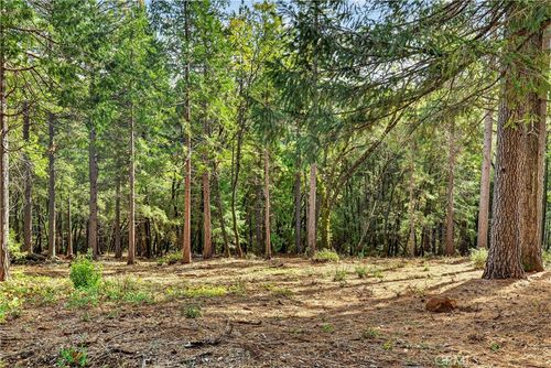 0 Cedar Creek Rd, Forest Ranch, CA, 95942 | Card Image
