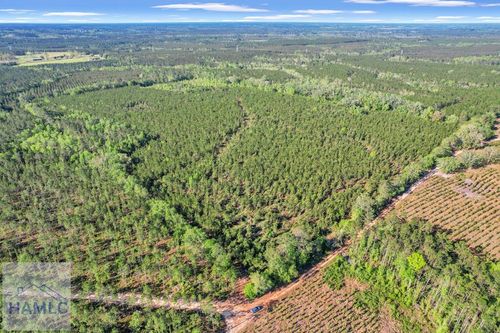 0 Mildred Bush Road, Surrency, GA, 31563 | Card Image
