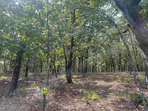 8 acres Lakeview Drive, Conway, AR, 72032 | Card Image