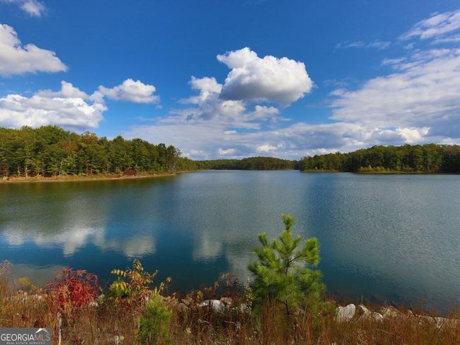 314 Sky High Trl, House other with 4 bedrooms, 3 bathrooms and null parking in Canton GA | Image 52