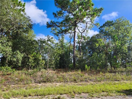 6731 N Darlington Dr, DUNNELLON, FL, 34434-4400 | Card Image