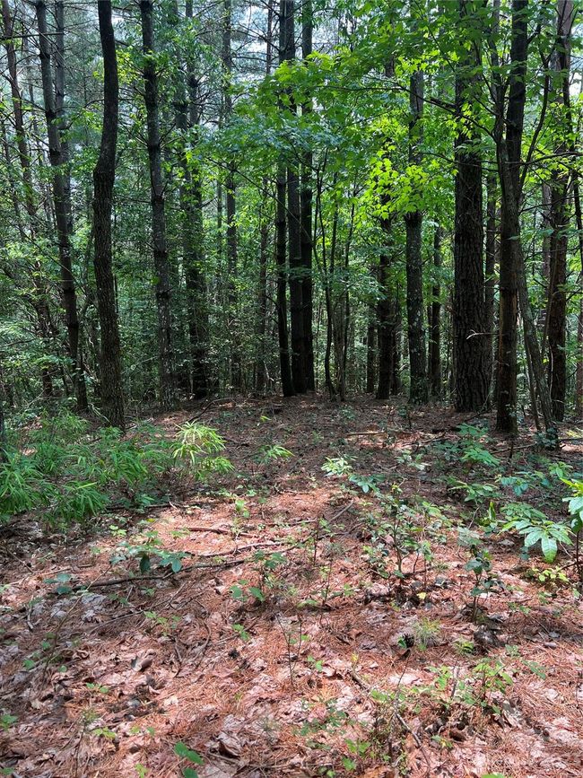 29 - 9589 Shortoff View Ter, Home with 0 bedrooms, 0 bathrooms and null parking in Nebo NC | Image 15