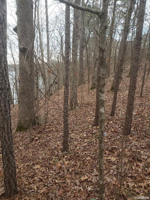 33 Waterfront Dr, Hot Springs, AR, 71913 | Card Image