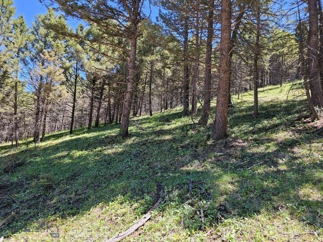 634 Clancy Creek   Corbin Road, Home with 0 bedrooms, 0 bathrooms and null parking in Clancy MT | Image 14