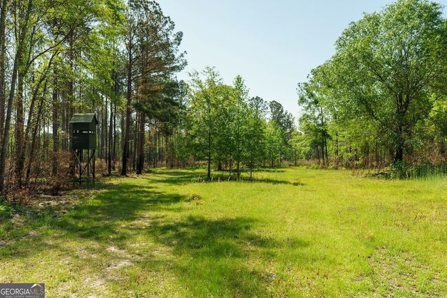 6053 Sun Hill Grange Rd, Home with 0 bedrooms, 0 bathrooms and null parking in Davisboro GA | Image 87