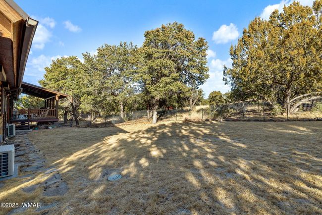 Back Yard | Image 45