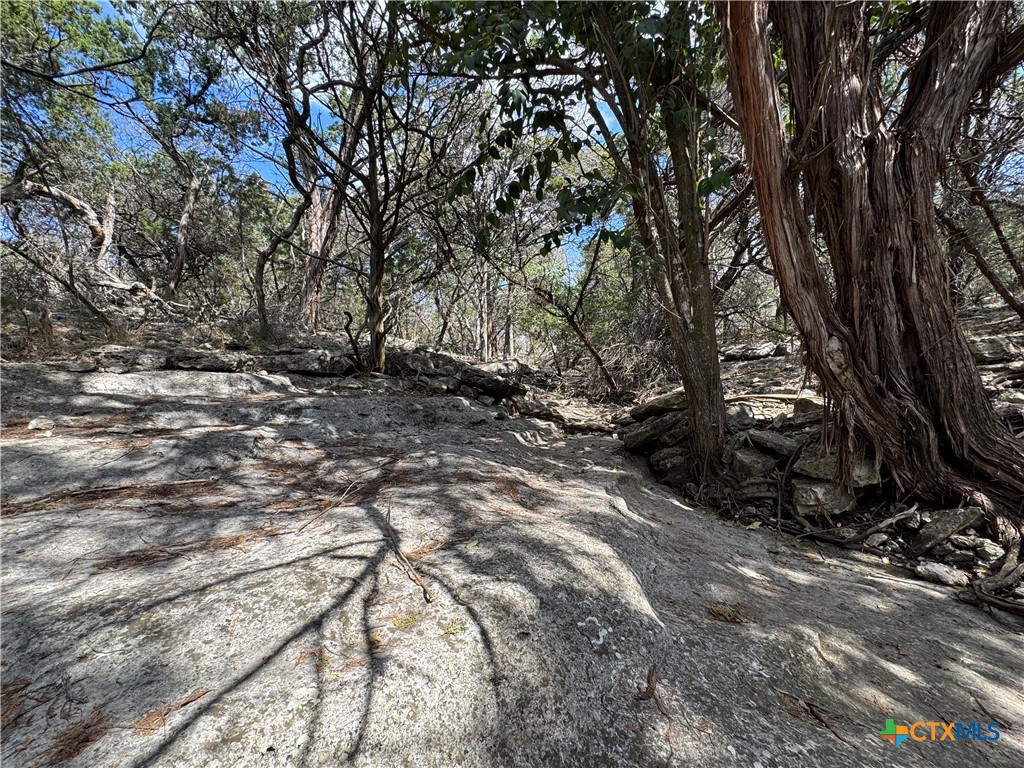 Land in Belton 5